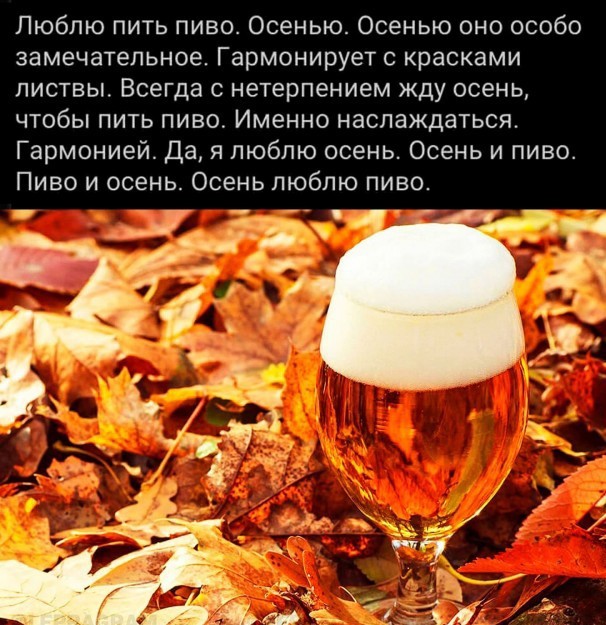 Хочешь узнать, как женщина занимается сексом? Посмотри на то, как она ест