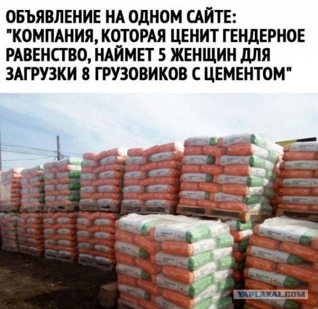 Так себе картинки 06.12.23