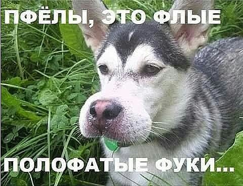 Так себе картинки 31.12.23