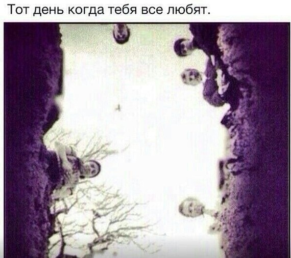 Десять пятничных картинок