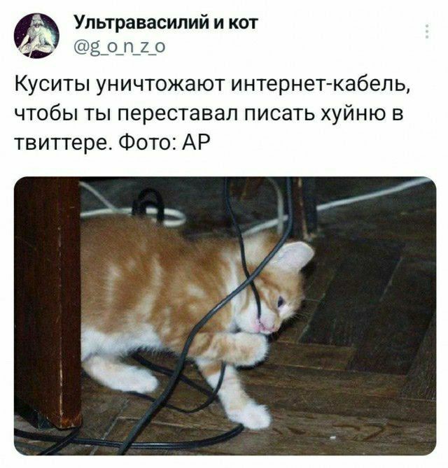 Получены документальные подтверждения того как хуситы резали кабеля⁠⁠