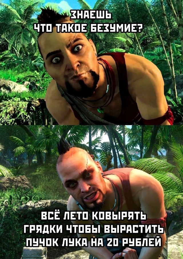 Так себе картинки 21.05.24