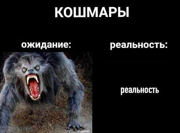 LOLмасики