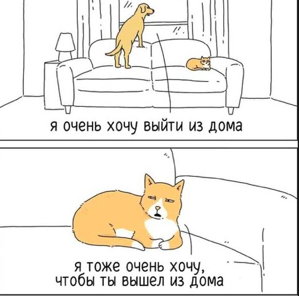 Завалялось тут случайно немного забавных картинок