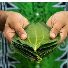 Бутан, таинственный Бутан