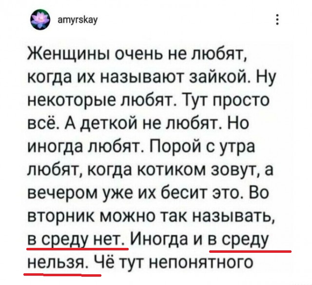 Весёлый полтишок 16.02.25