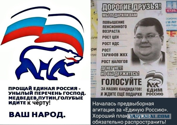 Путин назначил Игоря Чайку заместителем руководителя Россотрудничества