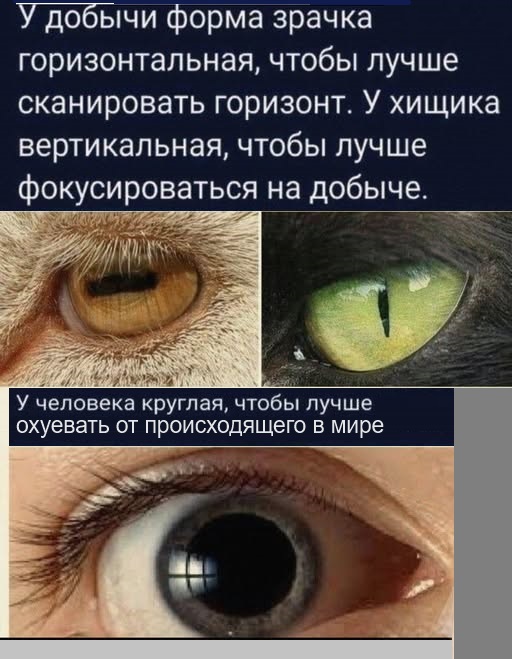 Картинки разные с надписями и без
