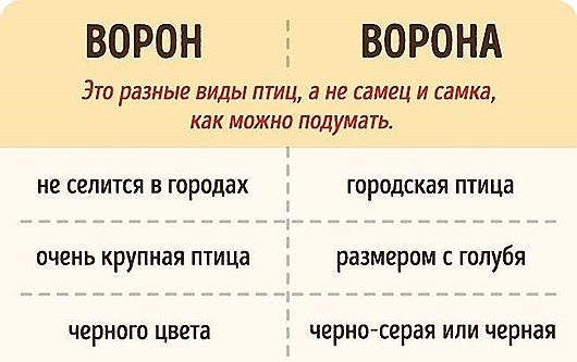 Иногда это мы путаем