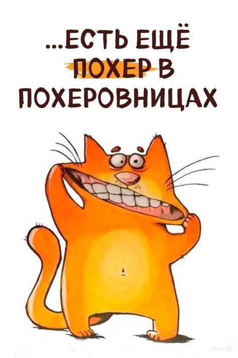 Прикольные и просто красивые картинки