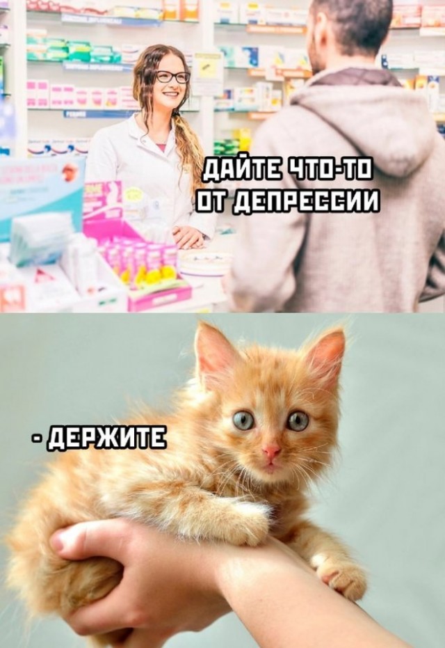 Стало интересно - а чего хотят мужчины 45+