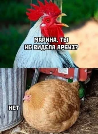 Маленькая пятница 23.07