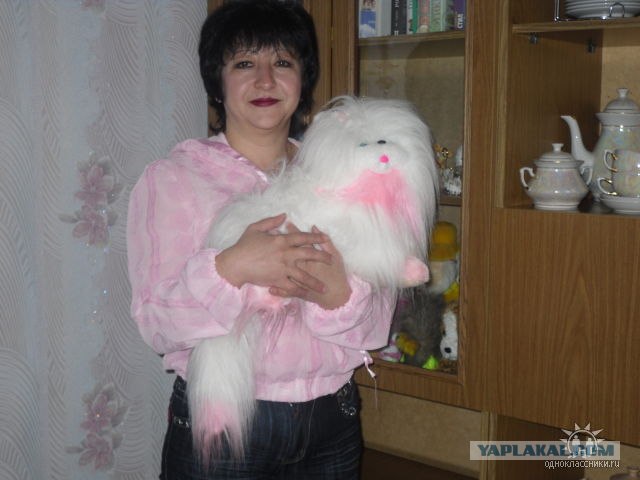 Дикие фото из социальных сетей