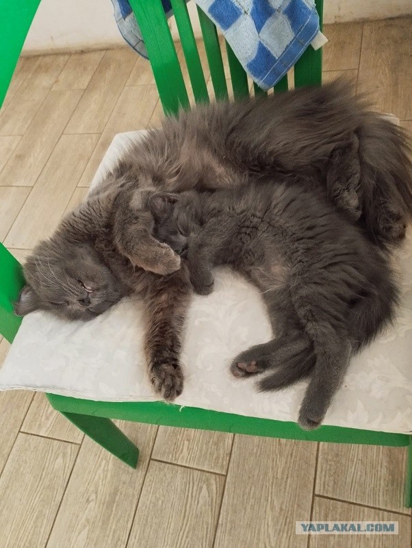 Ей срочно нужен отпуск