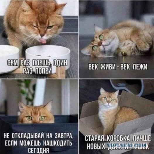 Вечер воскресенья