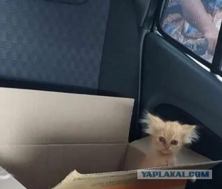 Картиночки на поднедельник