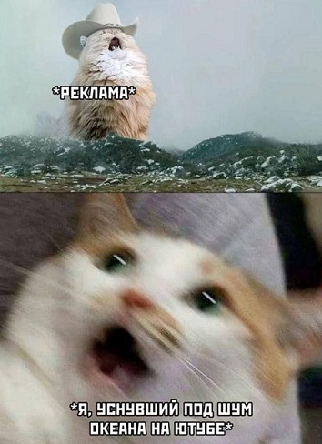 Ты чего избу не строишь?