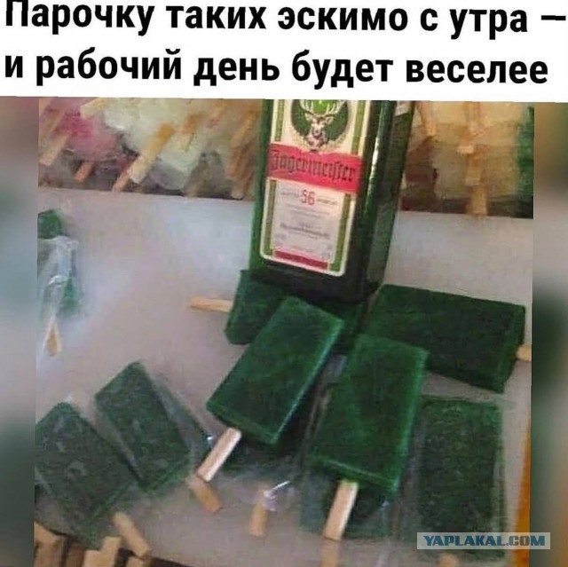 Веселые картинки в понедельник (19.01)