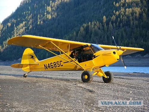 Паркетник с крыльями