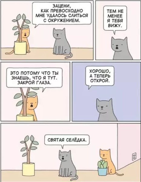Котямбосы