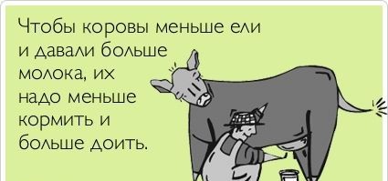 Налоговые поступления от МСП сократились на 22,2%