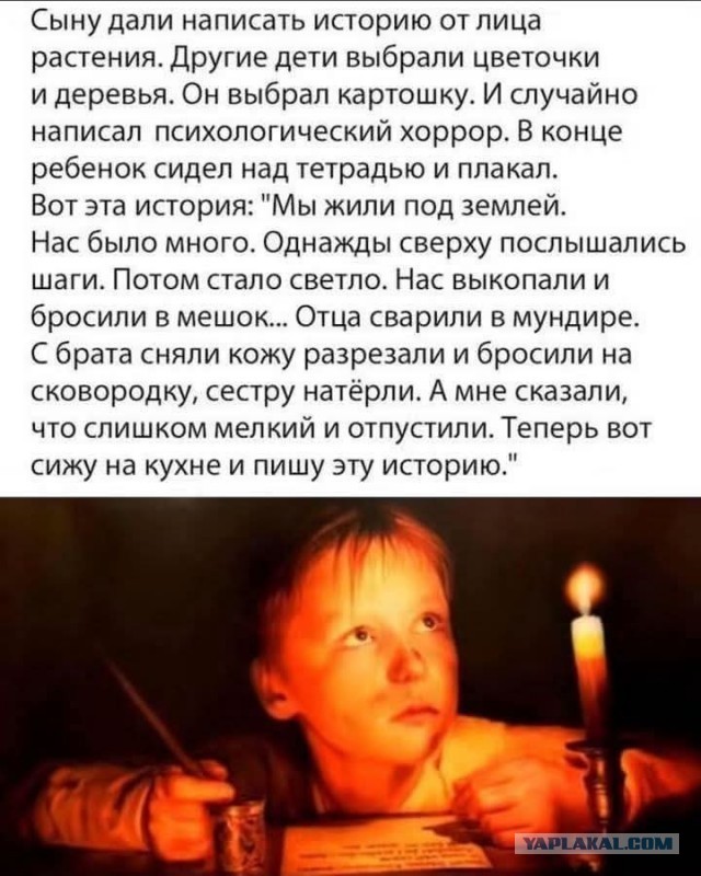 Картинки для деградации 293 (разной степени свежести)