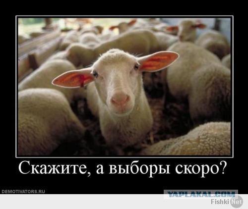 Рада проголосовала за вывод войск из Киева