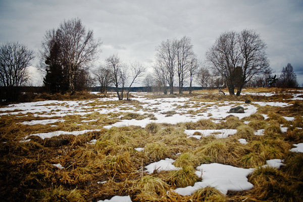 Скоро зима, товарищи !