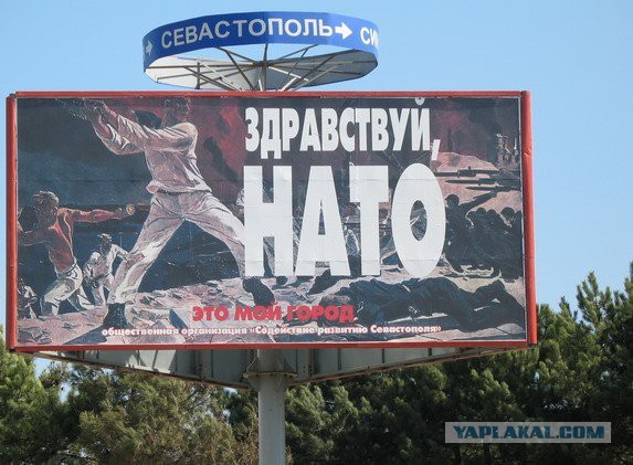 Беркут вернулся в Севастополь!