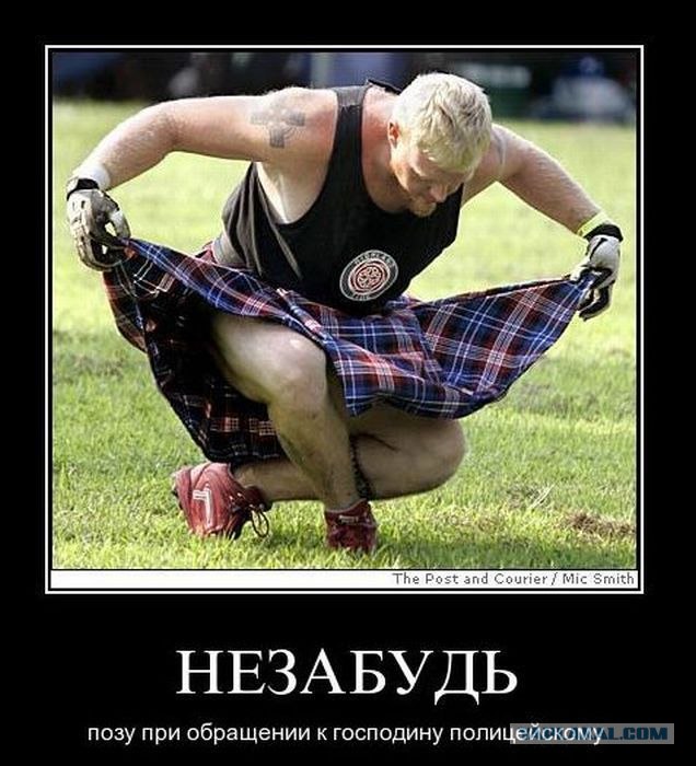 На злобу дня