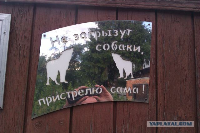 Просто забавные фотки из мобильника