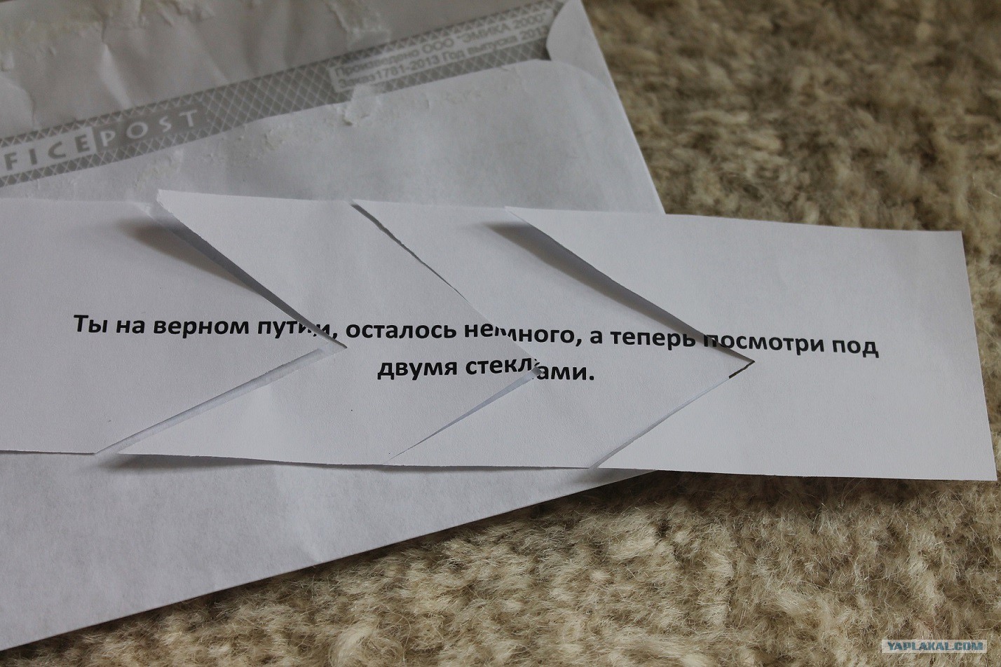 Выращивание финиковой пальмы из косточки: посадка и уход в Выращивание финиковой пальмы из косточки: посадка и уход в