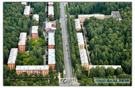 Тамбовский волк тебе товарищ...