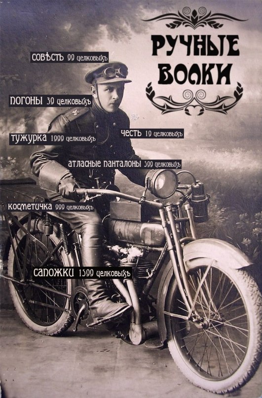 Янки гоу хом