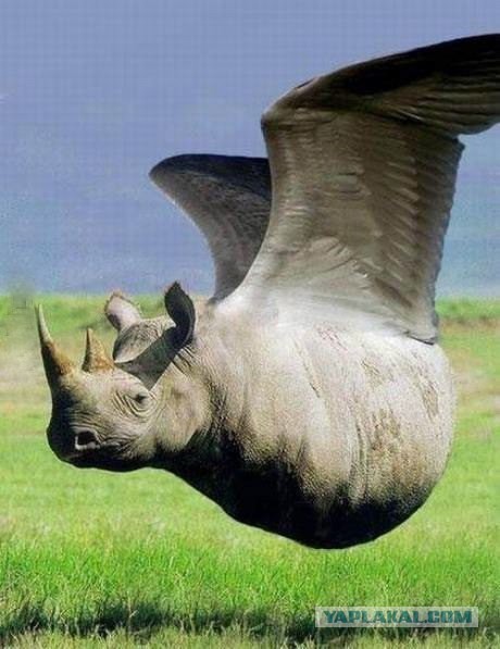 Ужасные свидания