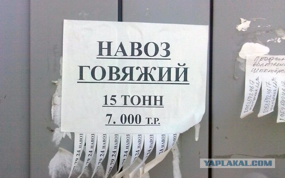 Веселые картинки