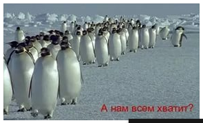Не ходите пока в "Москвариум"!