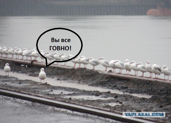 Гамбург 07:00 утра.