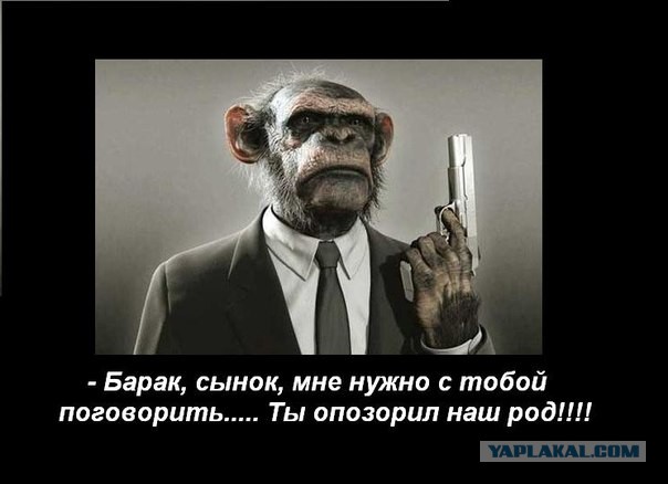 Оштрафовали на 10 000 р за сравнение Обамы