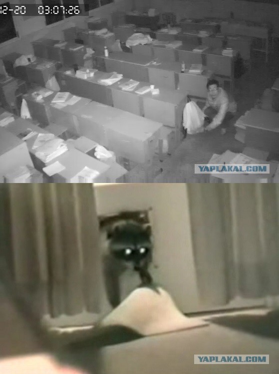 За что я люблю китайцев