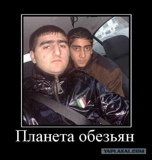 Вектор Движения №97