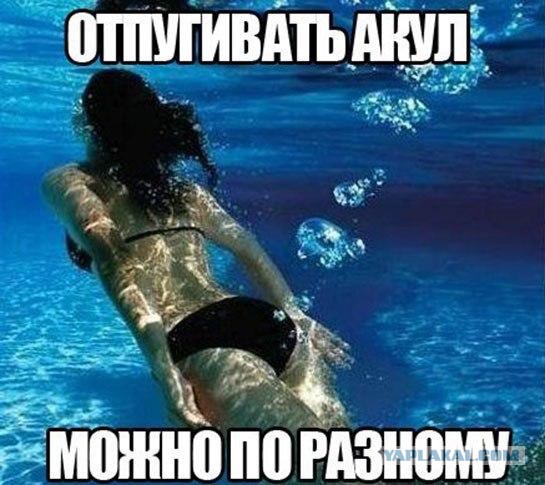 Всяко - разно...картинки