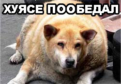 Уже да :) Ужо пятнецца...