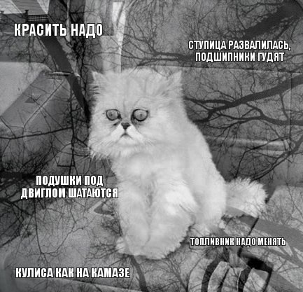 Автоприколы