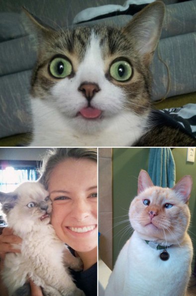 Подборка картинок на среду