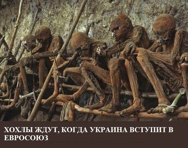СМИ: 64% голландцев высказались против ассоциации Украины с ЕС