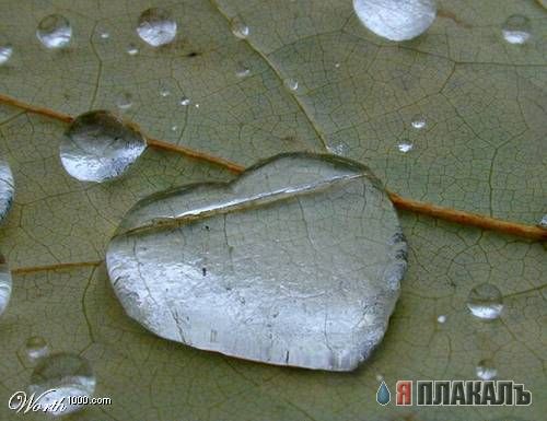 Фотки о любви.