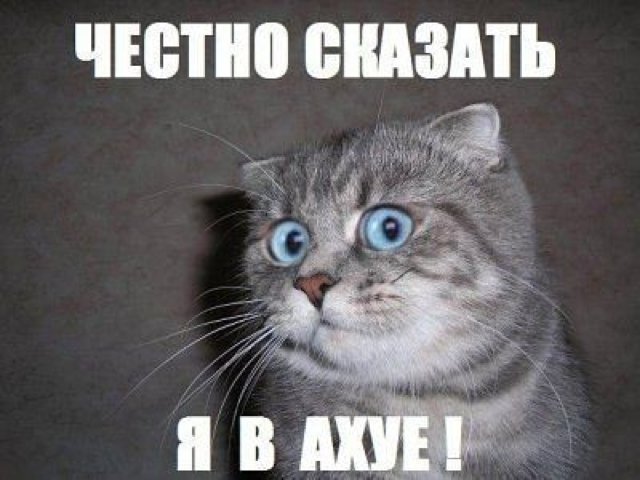 Президент Чехии призвал к референдуму за выход из ЕС и НАТО