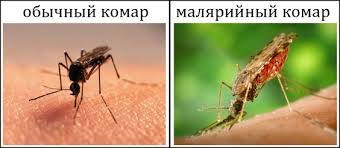 Не так страшен ВИЧ, как его последствия