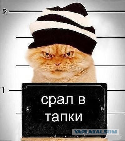 Вопрос уголовника  80 левела